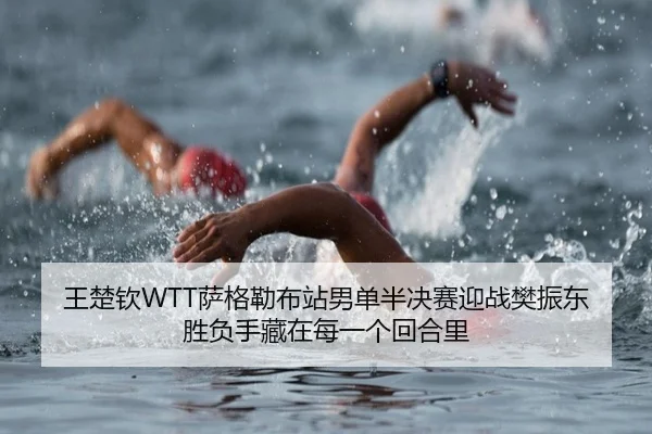 wang-chu-qin-sa-ge-lei-bu-zhan-nan-dan-ban-jue-sai-ying-zhan-fan-zhen-dong-sheng-fu-shou-cang-zai-mei-yi-ge-hui-he-li-2-737.jpg