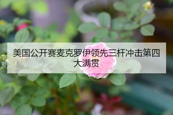 美国公开赛麦克罗伊领先三杆冲击第四大满贯